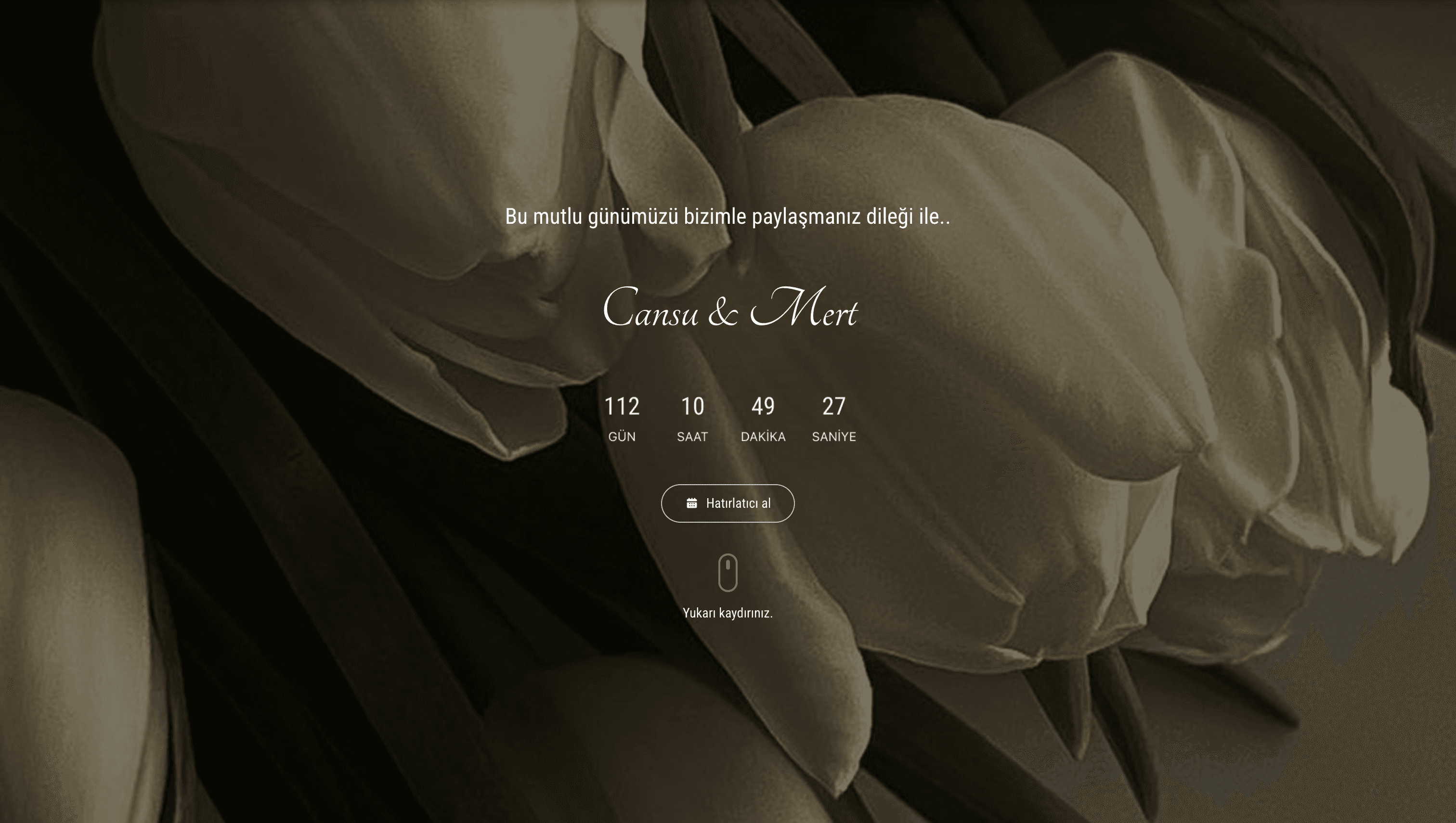Website Template 4
