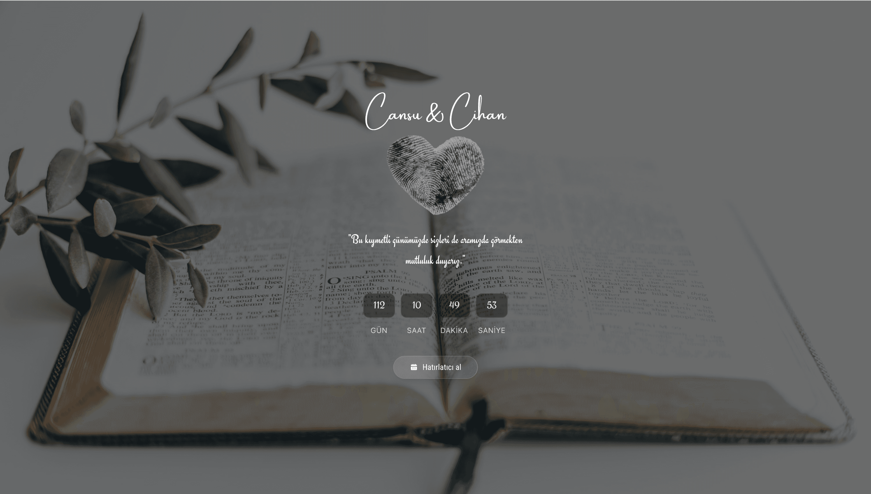 Website Template 5
